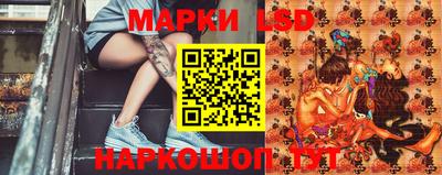 прущие крисы Кандалакша