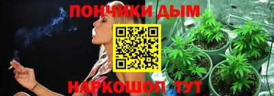 спиды Камышлов