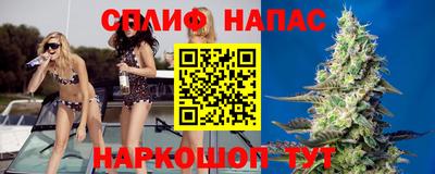 apvp Канаш