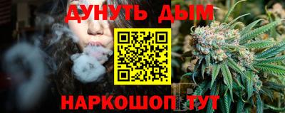 apvp Канаш