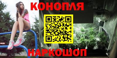спиды Камышлов