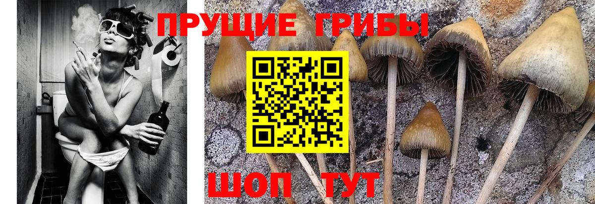 Псилоцибиновые грибы Magic Shrooms Южноуральск