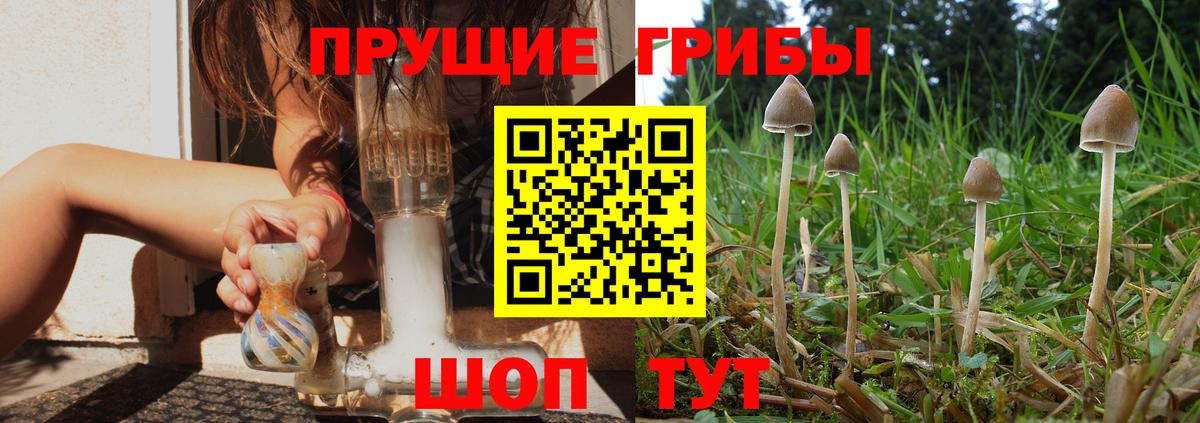 Галлюциногенные грибы Magic Shrooms  Вход с VPN  Южноуральск 